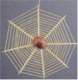 Spinnenweb van kastanje