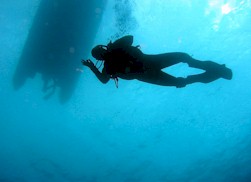 Silhouet van een duiker