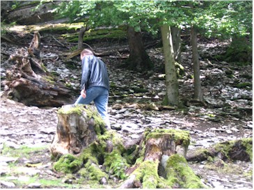 Fossielen zoeken Fossielen zoeken