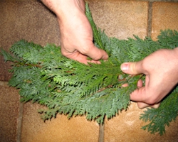 Nieuwe takken insteken Insteken nieuwe takken in de guirlande