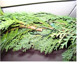 Kerstverlichting aanbrengen in de guirlande Lampjes in de guirlande