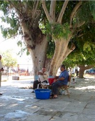 Zitje onder een boom Lekker zitten onder een boom